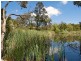 40 Victoria Road, Baxter VIC 3911