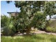 67 Carrathool Avenue, Rosebud VIC 3939