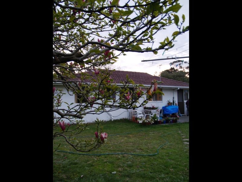 131 Karingal Drive, Frankston VIC 3199