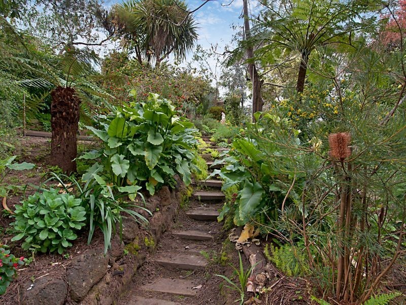 6 Camelot Crt, Mount Eliza VIC 3930