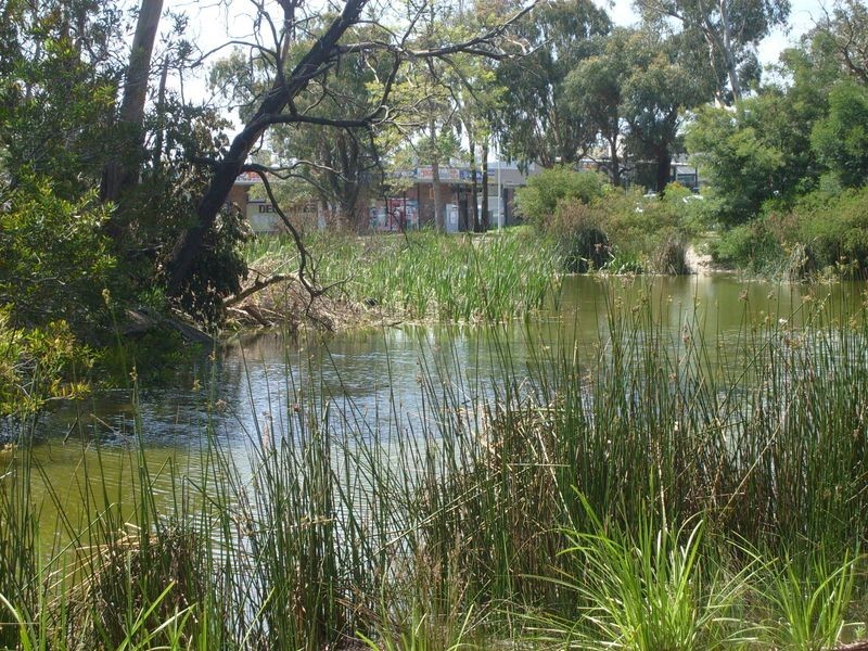 Frankston VIC 3199