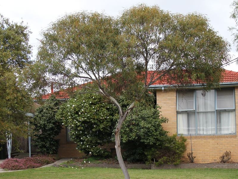 110 Karingal Drive, Frankston VIC 3199