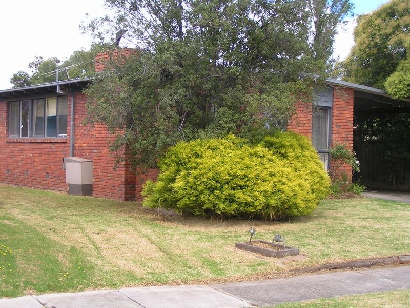 82 Wangarra Rd, Frankston VIC 3199