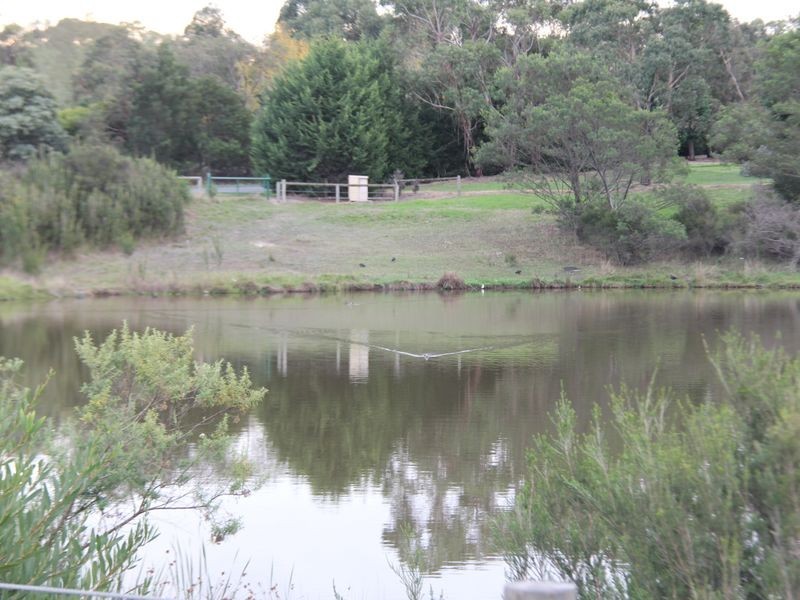 6 Bridgewater Court, Langwarrin VIC 3910