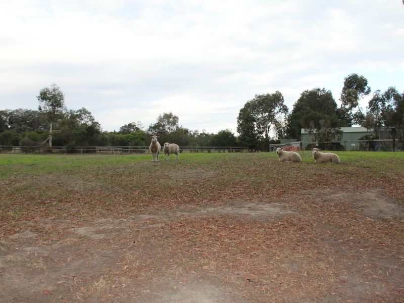 6 Bridgewater Court, Langwarrin VIC 3910