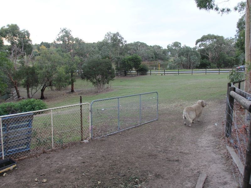 6 Bridgewater Court, Langwarrin VIC 3910