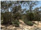 257 Humphries Road, Frankston South VIC 3199