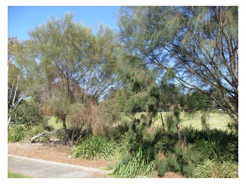 3/18 Carder Avenue, Seaford VIC 3198