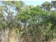 34 Pinehill Drive, Frankston VIC 3199