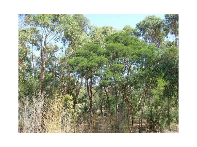 34 Pinehill Drive, Frankston VIC 3199
