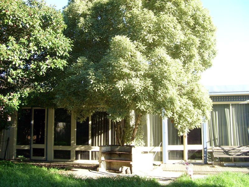 2/2 Corio Avenue, Frankston South VIC 3199