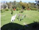 82 Centre Road, Langwarrin VIC 3910