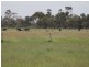 1575 Baxter-Tooradin Road, Devon Meadows VIC 3977