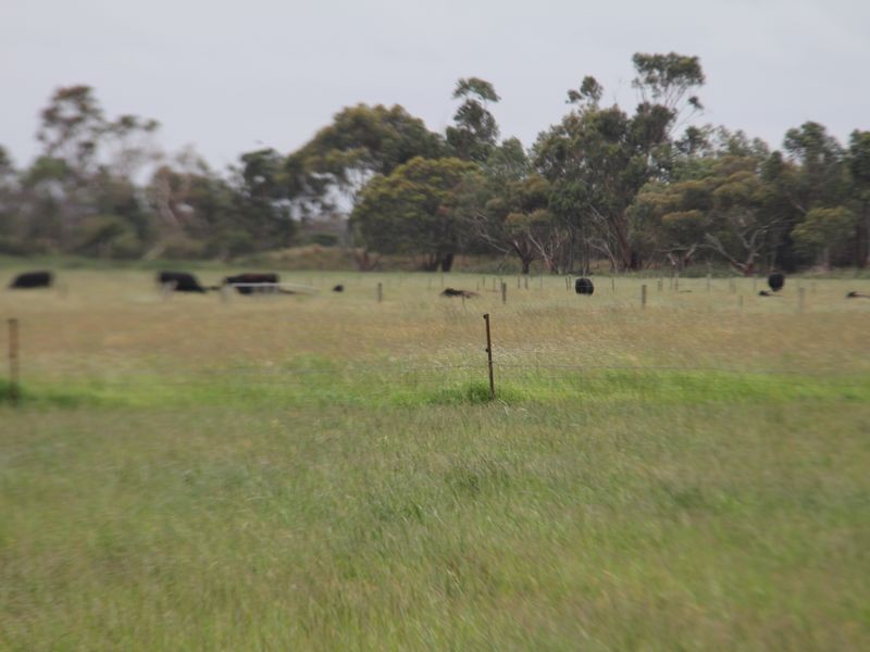 1575 Baxter-Tooradin Road, Devon Meadows VIC 3977