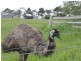 1575 Baxter-Tooradin Road, Devon Meadows VIC 3977