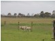 1575 Baxter-Tooradin Road, Devon Meadows VIC 3977