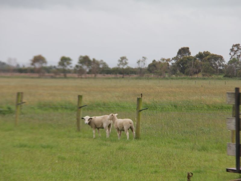 1575 Baxter-Tooradin Road, Devon Meadows VIC 3977