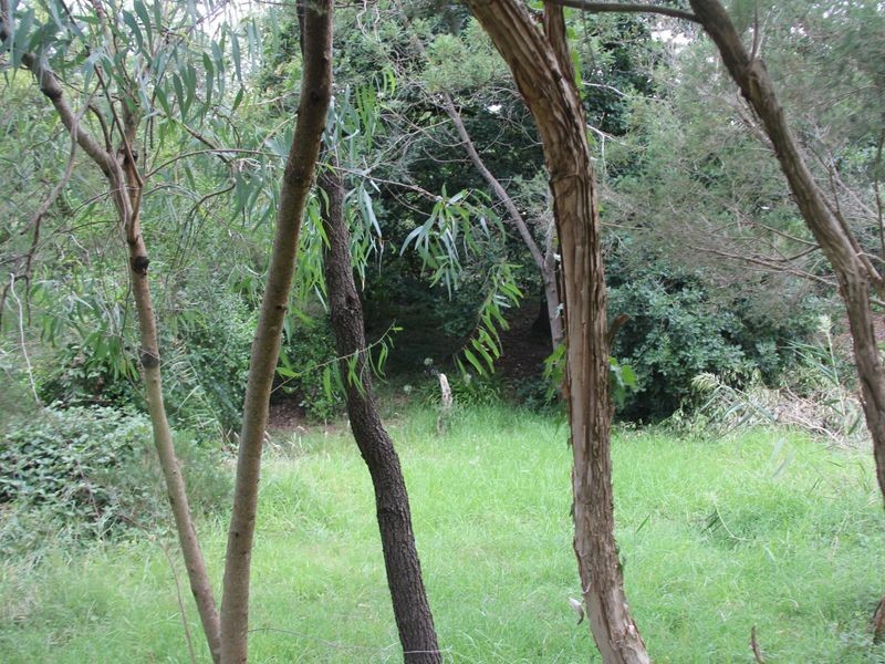 2 Parkside Grove, Frankston South VIC 3199