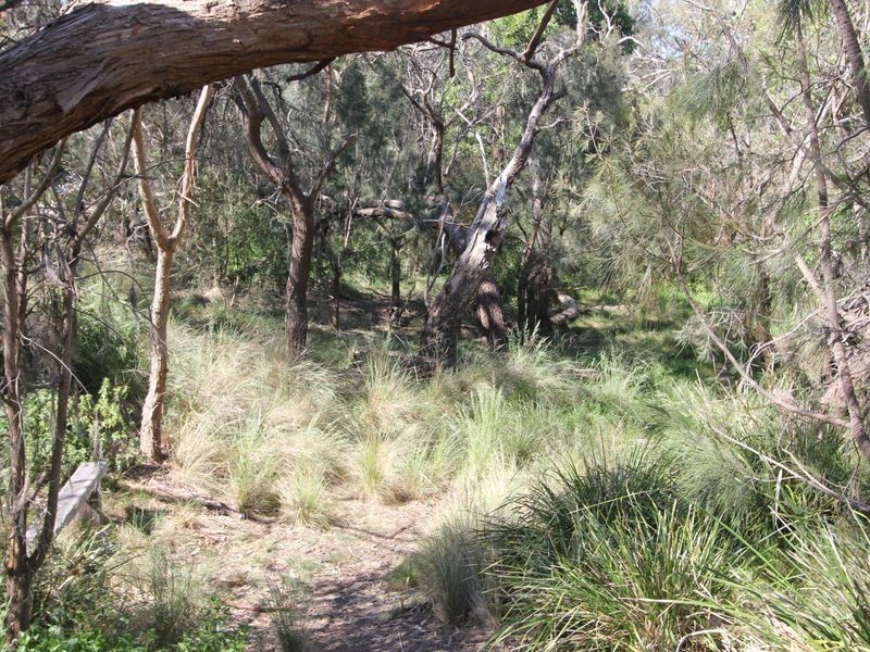 1/79 Baden Powell Drive, Mount Eliza VIC 3930