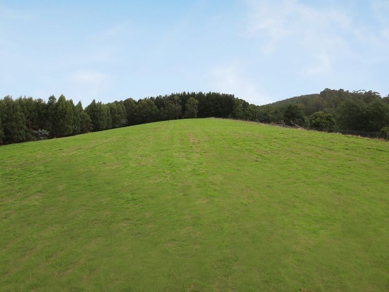 2005B Tarra Valley Road, Tarra Valley VIC 3971