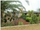 22 Berberis Crescent, Frankston VIC 3199