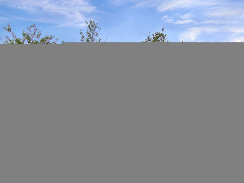 19 Dulzura Street, The Gap QLD 4061