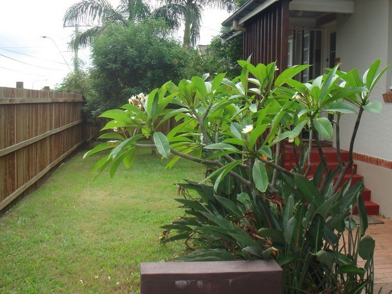 111 Edith Street, Enoggera QLD 4051