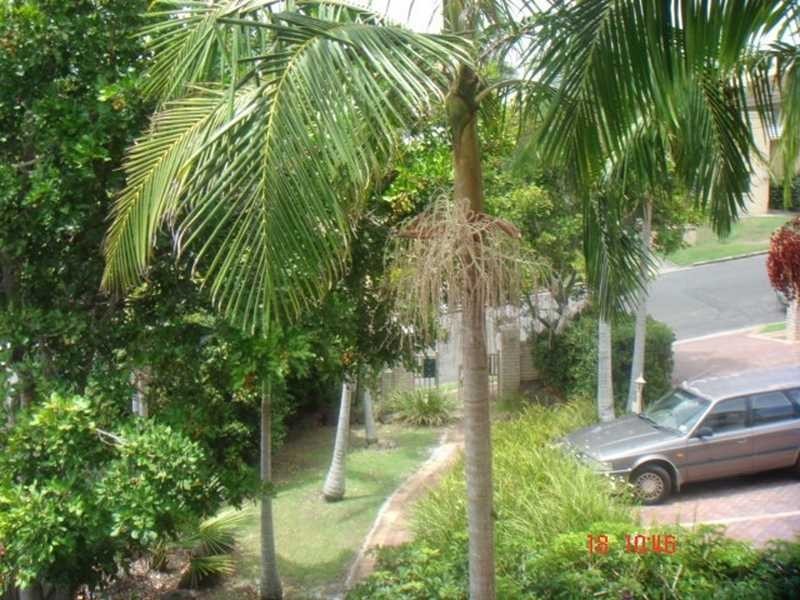 3/31-33 Globe Street, Ashgrove QLD 4060