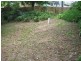 Ashgrove QLD 4060