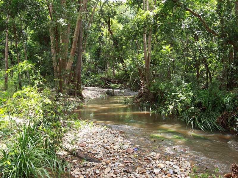 1142 Waterworks Road, The Gap QLD 4061