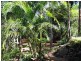 1 Barton Court, Eatons Hill QLD 4037