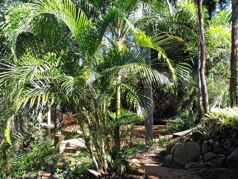 1 Barton Court, Eatons Hill QLD 4037