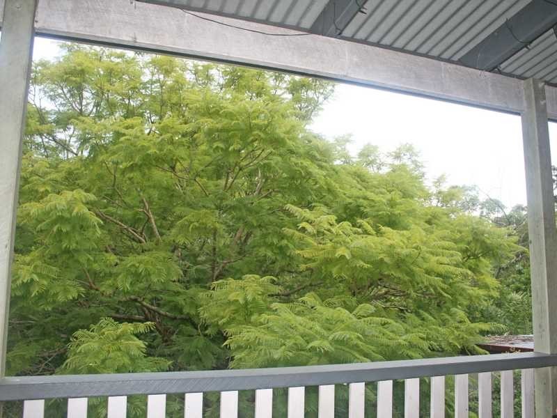 78 Stuartholme Road, Bardon QLD 4065