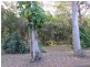 Bardon QLD 4065
