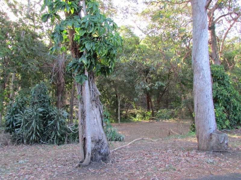 22 Lilley Rd, Bardon QLD 4065