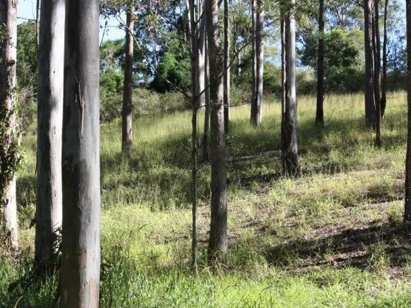 21 Lemm Street, Everton Hills QLD 4053