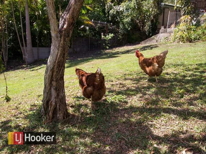 66 Chaprowe Road, The Gap QLD 4061