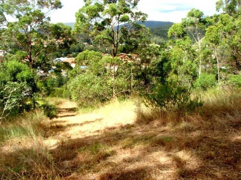 41 Dillon Road, The Gap QLD 4061