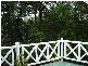 1141 Waterworks Road, The Gap QLD 4061