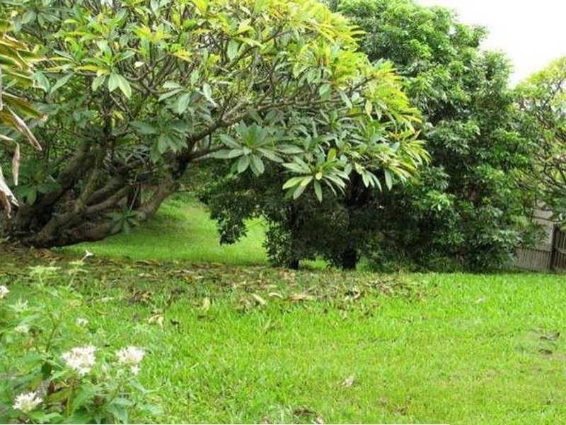 51 Scott Road, Herston QLD 4006