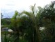 14 Wurinya Street, The Gap QLD 4061