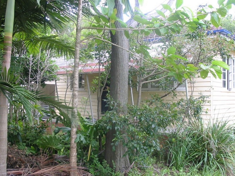 1/88 Coolibah Street, Bardon QLD 4065