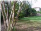 29 Lizzie Street, Bardon QLD 4065