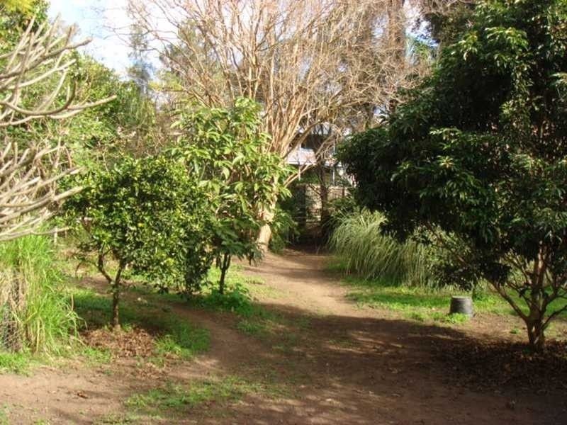 100 Acacia Drive, Ashgrove QLD 4060