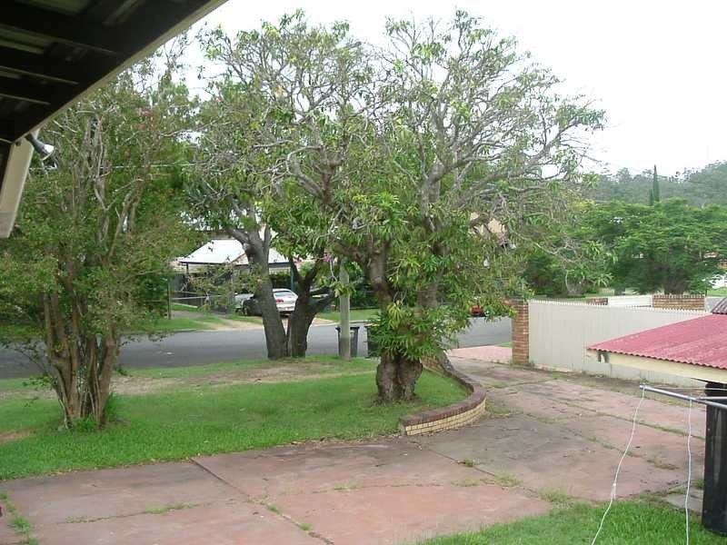 319 South Pine Road, Enoggera QLD 4051