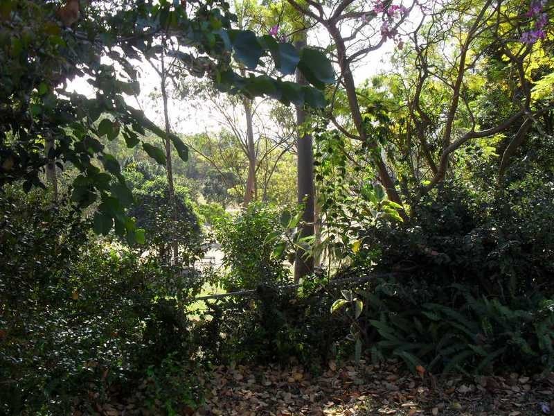 57 Davies Road, Ashgrove QLD 4060