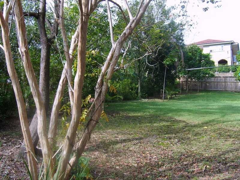 29 Lizzie Street, Bardon QLD 4065