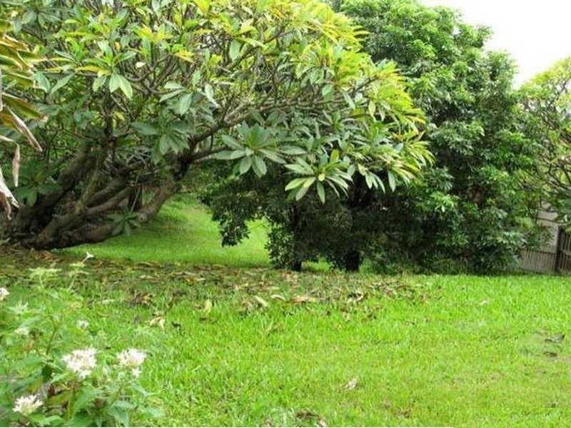 51 Scott Road, Herston QLD 4006