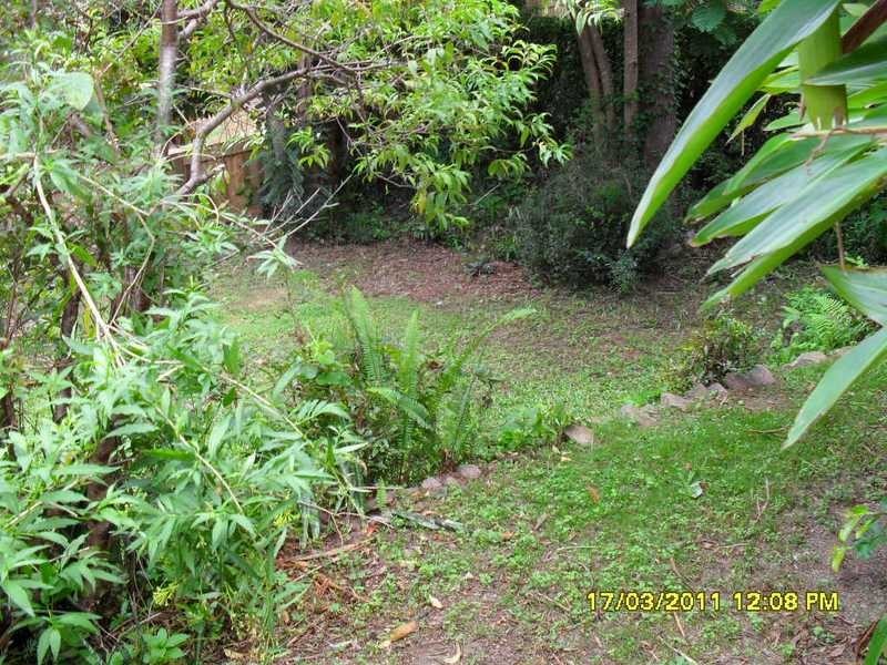 16 High Street, Ashgrove QLD 4060