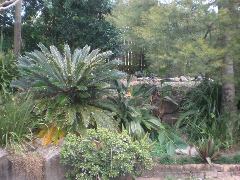 46 Duntreath St, Keperra QLD 4054